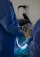 Allmedica perfection during bariatric procedure