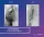 Labiaplasty - before (left) and after (right) result